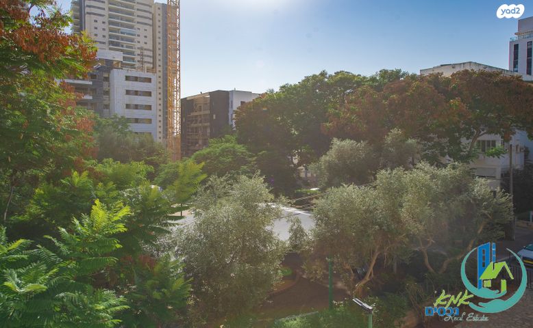 דירה, לבון, פתח תקווה