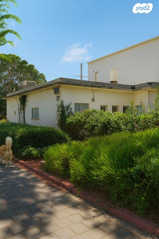 מרדכי אנילביץ' 