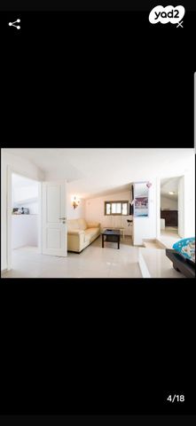 אלכסנדר ינאי 