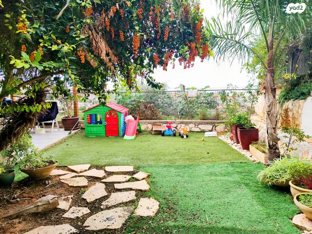 דו משפחתי, צופים, צופים