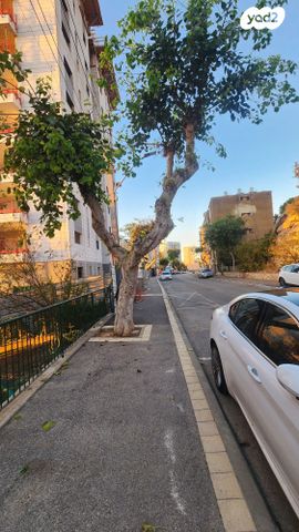 דירה, אסתר המלכה, נווה דוד, חיפה