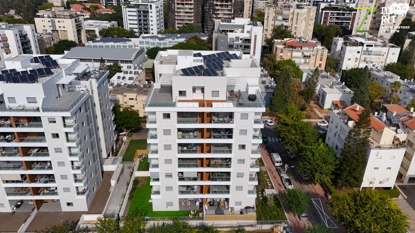 אבן שפרוט 14