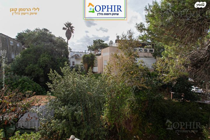 דירה, ענתות, כרמל צרפתי, חיפה