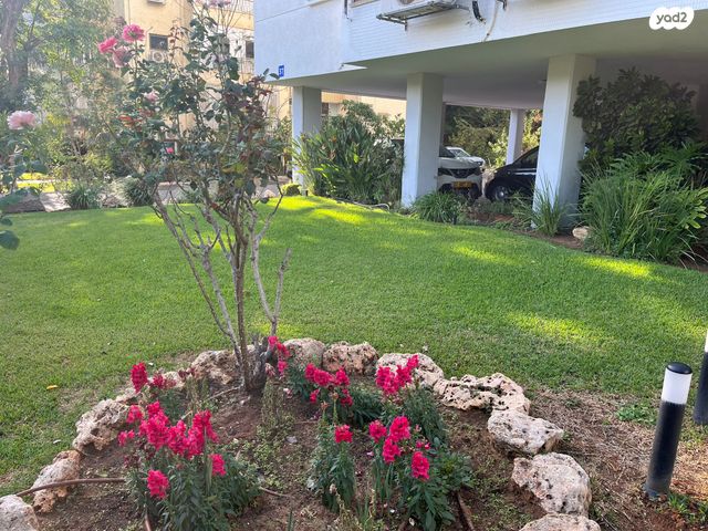 שיכון דן, נווה דן