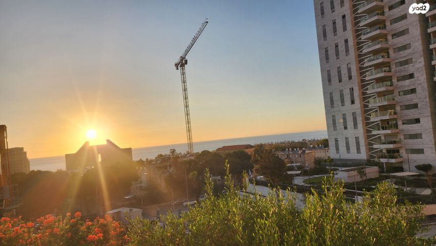 דירה, אסתר המלכה, נווה דוד, חיפה