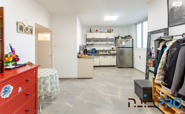 דירה, טרכטנברג, אברמוביץ', ראשון לציון