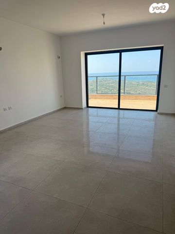 ארזי הלבנון 