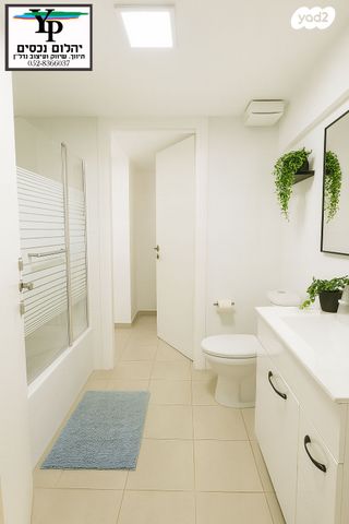 דירה, החותרים, טירת כרמל