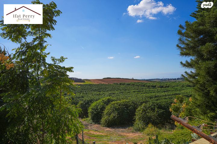 בית פרטי/ קוטג', תל מונד