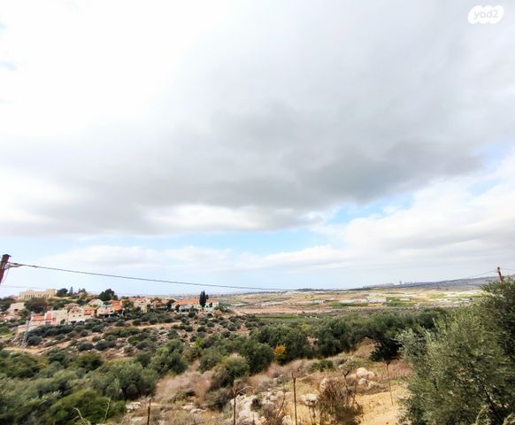 דו משפחתי, צופים, צופים