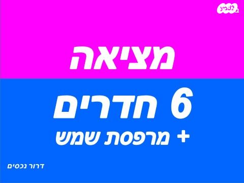 מיכל לייב כץ 