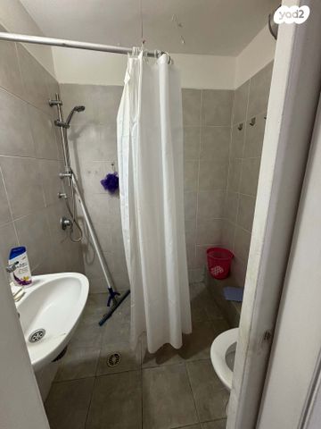 דירה, עמוס, בן דור, נשר