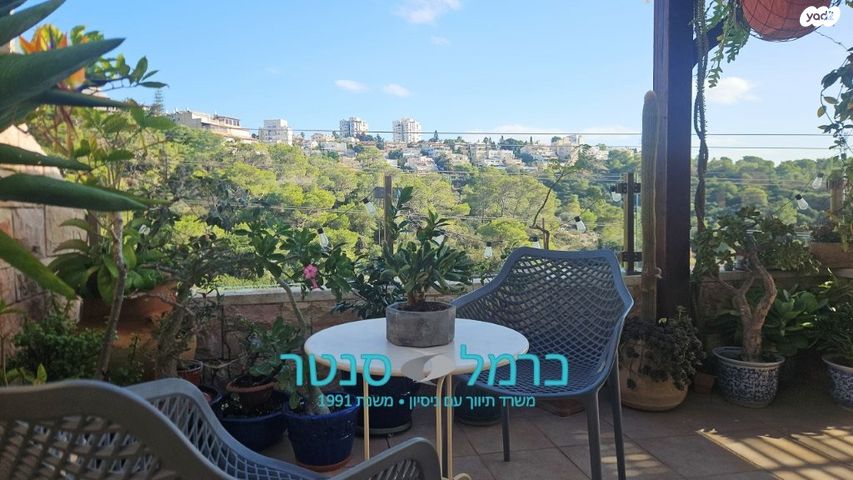 דירת גן, רמת אשכול, חיפה