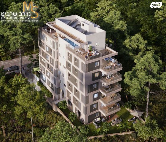 דירה, סמולנסקין, אחוזה, חיפה