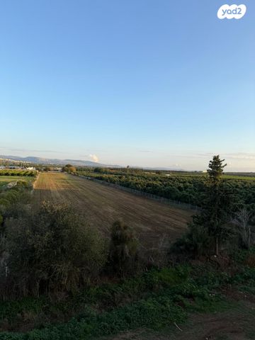 דירה, הזמיר, נהריה הירוקה, נהריה