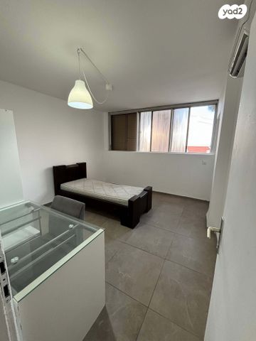 דירה, עמוס, בן דור, נשר