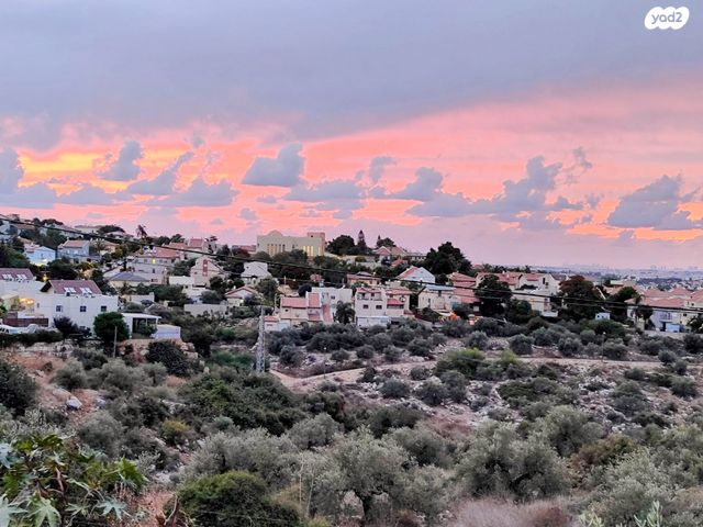 דו משפחתי, צופים, צופים