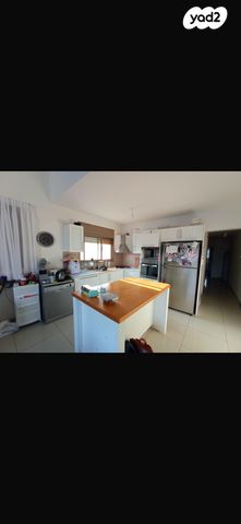 דופלקס, אלכסנדר ינאי, חיפה