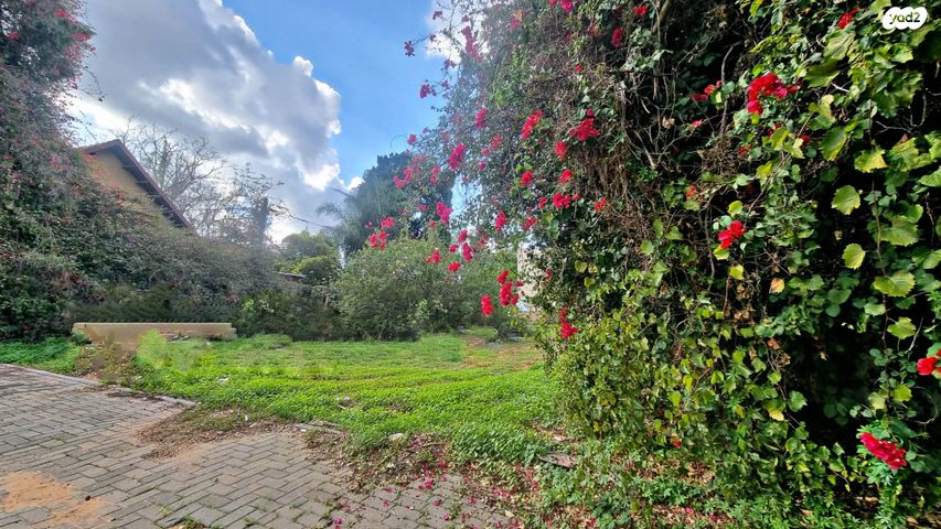 מגרשים, פרדס חנה כרכור