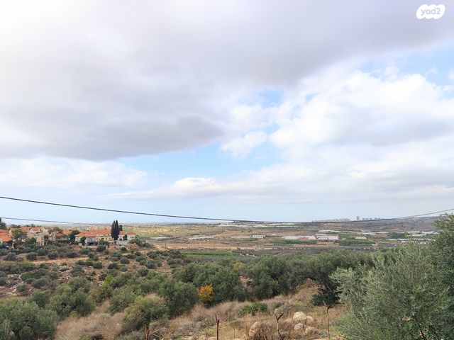 דו משפחתי, צופים, צופים