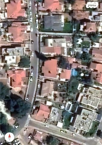 אלוף הניצחון 