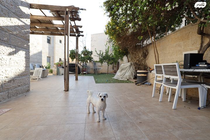 מבשרת ירושלים