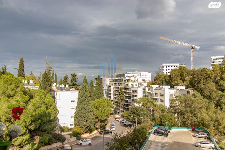 דירה, חביבה רייק, רמות רמז, חיפה