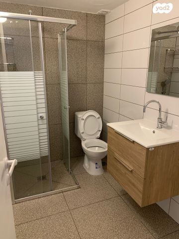 דירה, אבן גבירול, העיר התחתית, ואדי סאליב, חיפה