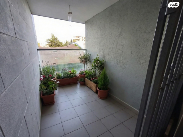 דירה, בורוכוב, רמת ורבר, פתח תקווה