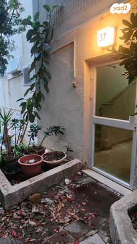 דירה, דוד פינסקי, מרכז הכרמל, חיפה