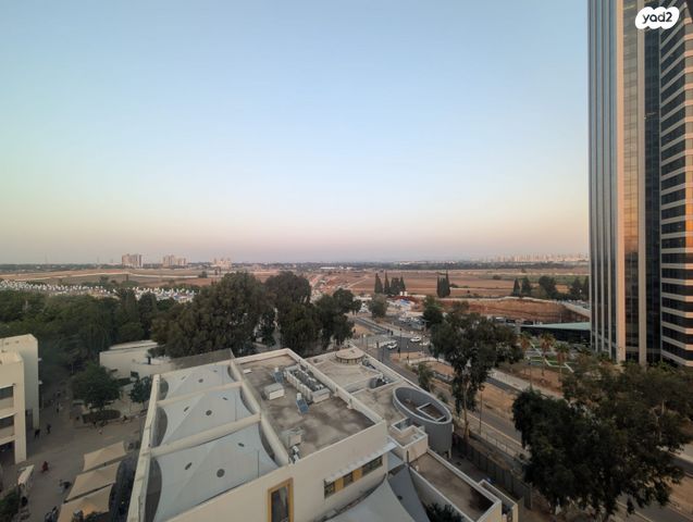 ראול ולנברג 33