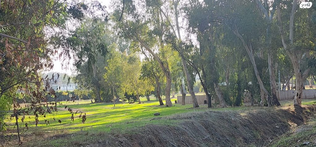 בית פרטי/ קוטג', רעננה