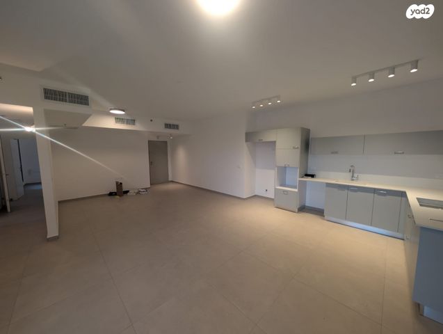 ראול ולנברג 33