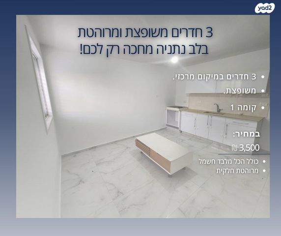 משה גליקסון 