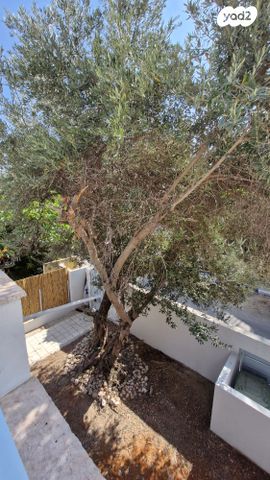 בית פרטי/ קוטג', שביל היסמין, ביצרון ורמת ישראל, תל אביב יפו