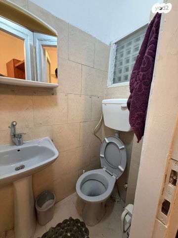 דירה, חורב, אחוזה, חיפה