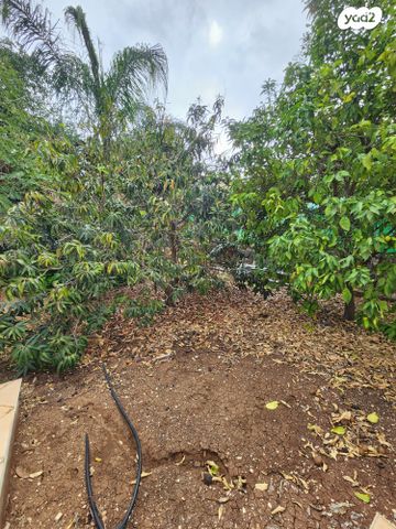 בית פרטי/ קוטג', שושן, עפולה הצעירה, עפולה