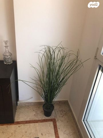 דירה, רציף הרברט סמואל, כרם התימנים, תל אביב יפו