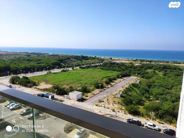 מגרשים, חבצלת השרון, חבצלת השרון