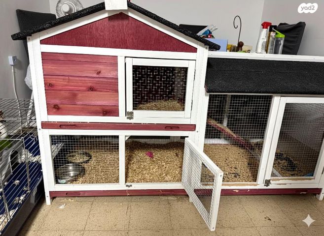 תמונת מודעה - חיות מחמד