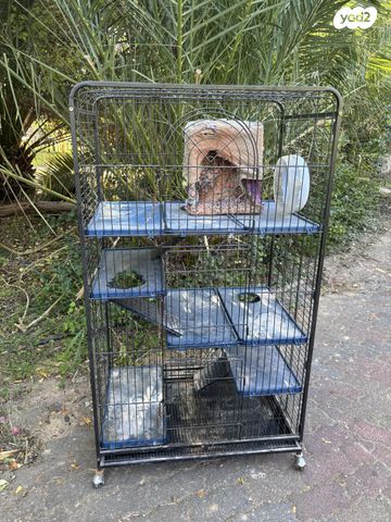 תמונת מודעה - חיות מחמד