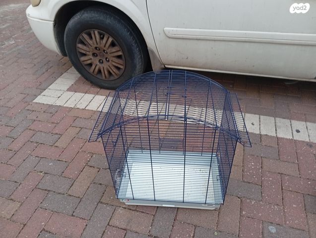 תמונת מודעה - חיות מחמד