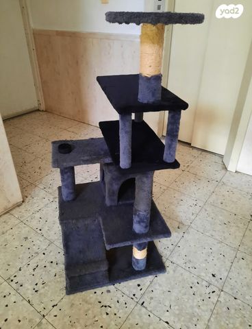 תמונת מודעה - חיות מחמד