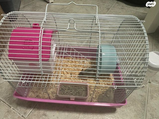 תמונת מודעה - חיות מחמד