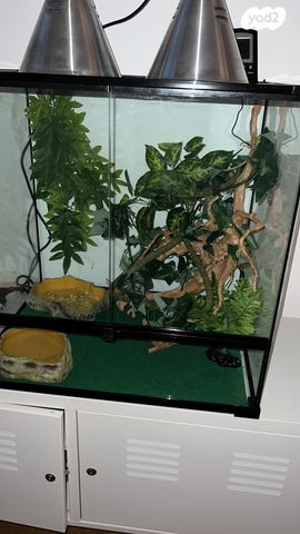 אביזרים | טרריום