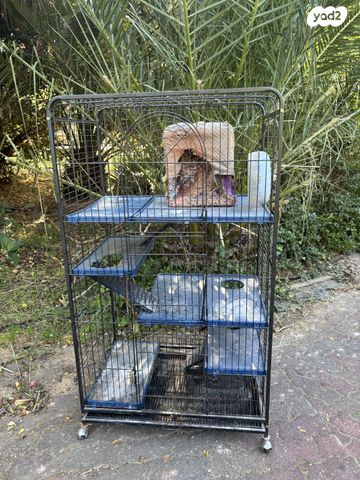 אביזרים | כלוב