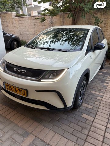 בי.ווי.די דולפין