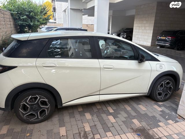 בי.ווי.די דולפין