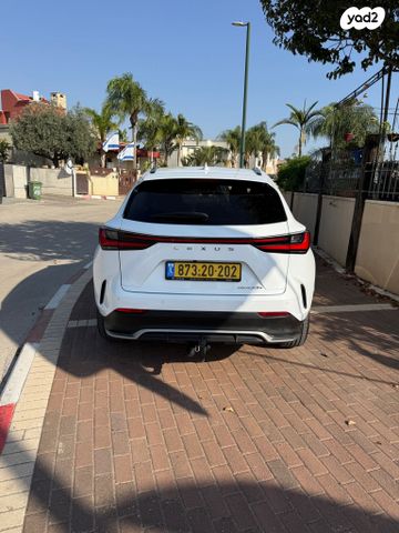 לקסוס NX