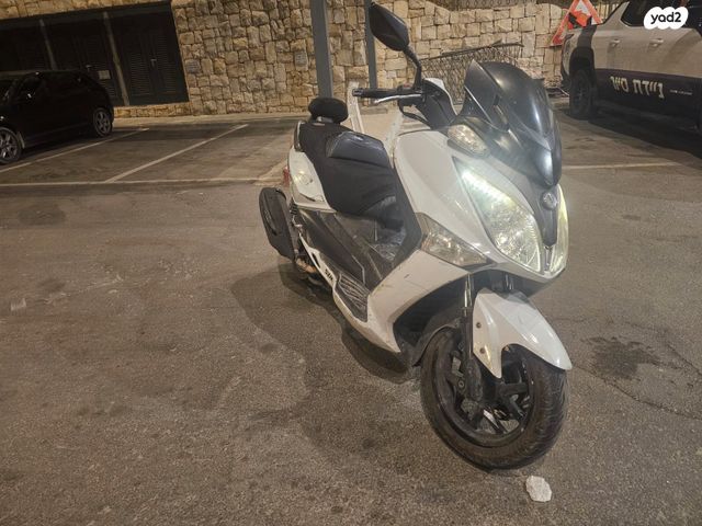 סאן יאנג ג'וי-מקס Z-300